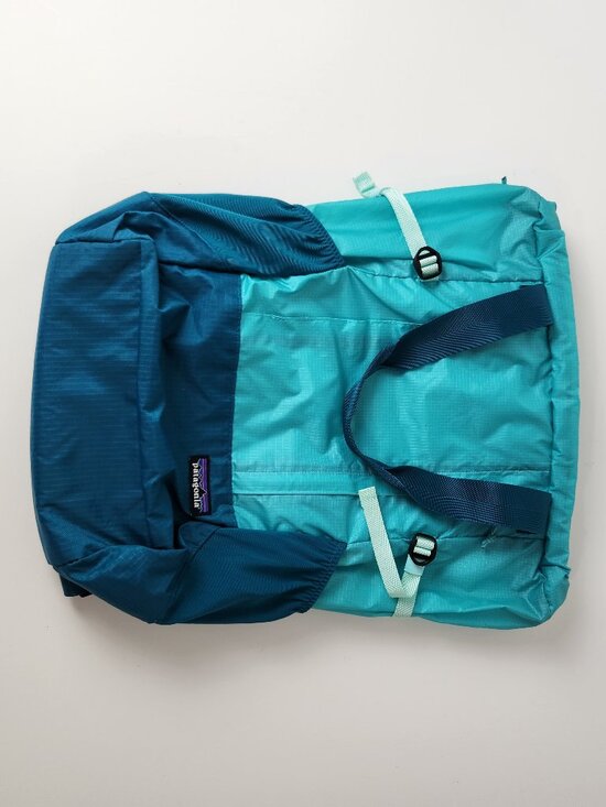 Patagonia Other - Patagonia Backpack Light Blue Lightweight Travel Tote Pack Packable STY48808